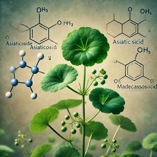 Understanding Centella Asiatica: The Miracle Ingredient in Skincare