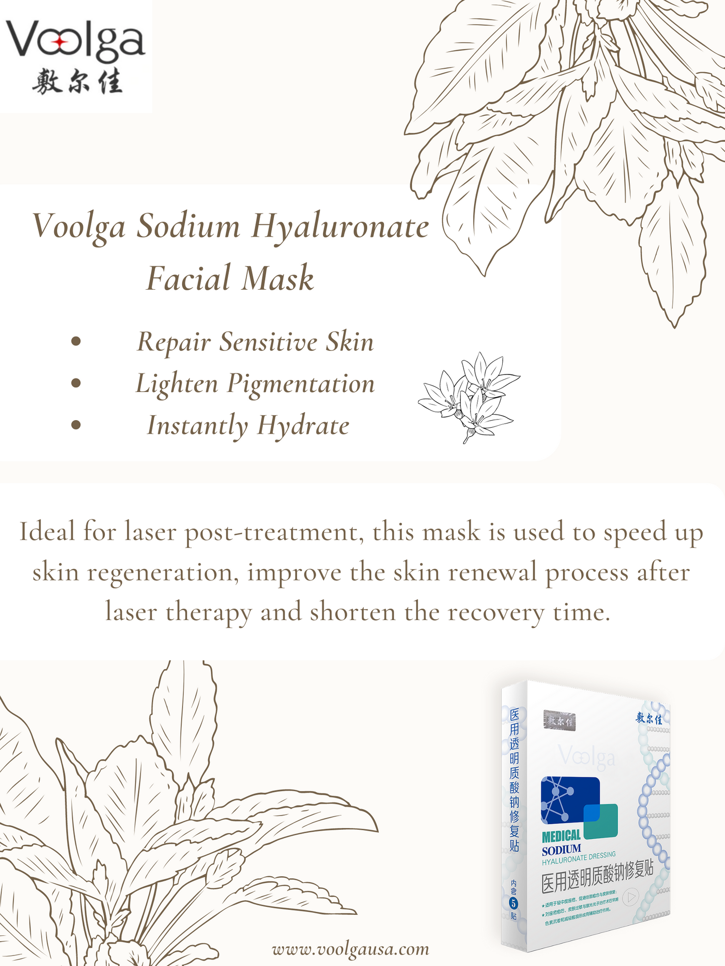 Voolga Medical Sodium Hyaluronate Dressing Repair Facial Mask(The White Mask)